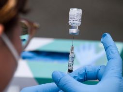 EU informó que partir del 8 de noviembre se espera que esté en 