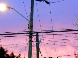 La víctima murió electrocutada al tocar un cercado que se encontraba en contacto con un cable que se reventó y colgaba de un poste propiedad de la CFE. EL INFORMADOR/ARCHIVO