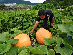 Te recomendamos algunos de los mejores productos de esta temporada. EFE/ ARCHIVO