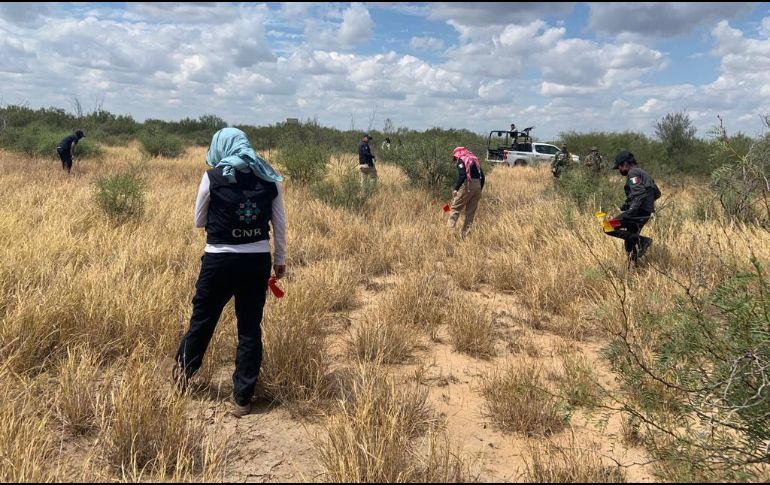 Labores de búsqueda de desaparecidos esta semana en el estado de Tamaulipas.TWITTER @Busqueda_MX