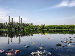 El interés por ampliar la participación de Latinoamérica en esta campaña recae en que menos del 15% de los integrantes de RTZ pertenece a esta región. PEXELS