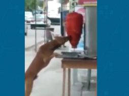 Muchos usuarios de redes sociales se preguntaron qué sucedió con la carne luego de que el 