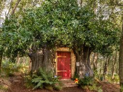 La Casa de Winnie The Pooh se encuentra en el Ashdown Forest, en Reino Unido. ESPECIAL / HENRY WOIDE