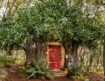 La Casa de Winnie The Pooh se encuentra en el Ashdown Forest, en Reino Unido. ESPECIAL / HENRY WOIDE
