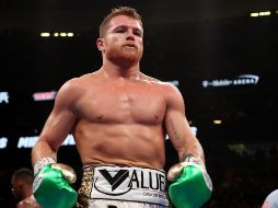 ”Canelo” Álvarez dio positivo a clembuterol en 2018.  AFP / ARCHIVO