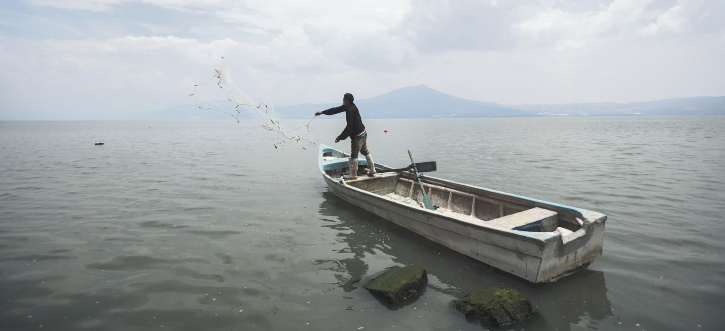 Lago. Las lluvias han provocado que Chapala suba 77 centímetros en este temporal. El Informador