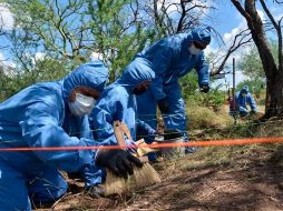 Un grupo de búsqueda de Puerto Peñasco, donde se han encontrado otros cadáveres, colaboró en las tareas de búsqueda. EFE/ARCHIVO