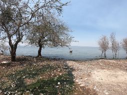 El Lago de Chapala fue una de las zonas con mayor captación de agua, señala Conagua. EL INFORMADOR