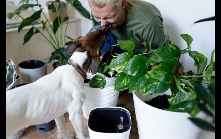 UNSPLASH/VADIM KAIPOV