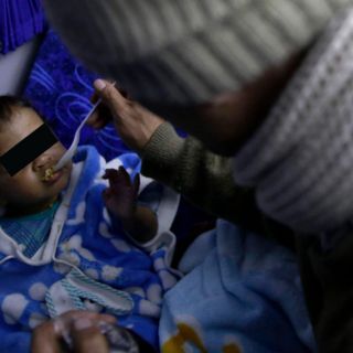 ¡Cuidado! No solo las sopas instantáneas son tóxicas; informan que comida para bebés contiene arsénico