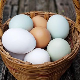 Día Mundial del Huevo: Celebra este día con una rica receta de huevos rancheros