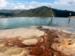 La bioluminiscencia es un fenómeno producido por microorganismos que emiten luz cuando se sienten atacados. NOTIMEX / ARCHIVO