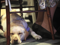 Los empleados inclusive se negaron a brindar al servicio cuando otro cliente ofreció ayudar a la mujer. SUN/ARCHIVO
