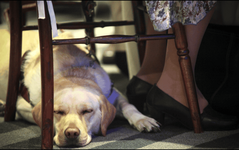 Los empleados inclusive se negaron a brindar al servicio cuando otro cliente ofreció ayudar a la mujer. SUN/ARCHIVO