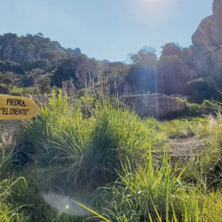 Deporte, cultura y medio ambiente