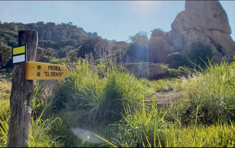 El sendero de “El Diente” en Zapopan es uno de los más recomendados para recorrer. ESPECIAL/Senderos de México