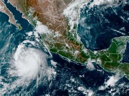 Se calcula que el meteoro tocará tierra cerca de Mazatlán, posiblemente como huracán de categoría 3. AP / NOAA