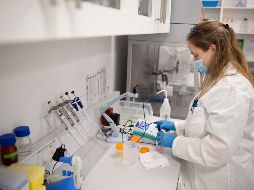 Los ensayos clínicos de un fármaco basado en estos anticuerpos empezarán a finales de 2022. AFP/R. Bosch