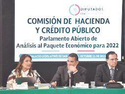 Parlamento Abierto en San Lázaro. ESPECIAL