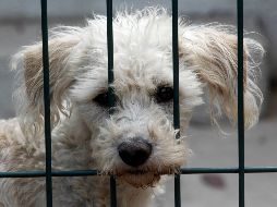 El evento ocasionó a 