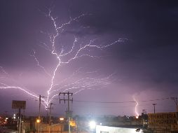 El contenido se hizo viral por un usuario en la plataforma de TikTok. EFE/ARCHIVO