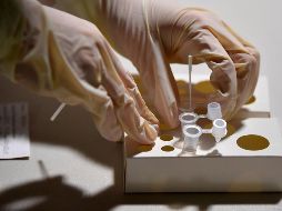 Según ese estudio del University College London, la prueba rápida de antígenos es un 80% efectiva a la hora de detectar una infección de COVID-19. EFE/ARCHIVO