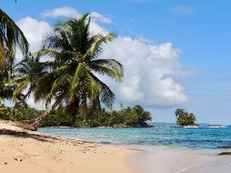Las playas son los destinos más buscados para visitar. ESPECIAL/Photo by Camilo Pinaud on Unsplash.