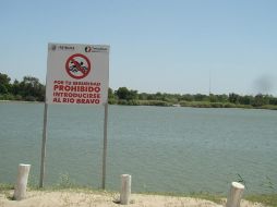 Los niños, de tres y seis años, no necesitaron asistencia médica tras ser rescatados. EFE/ARCHIVO