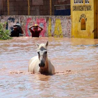 Huracán "Pamela" deja más de 11 mil damnificados en Nayarit y Sinaloa