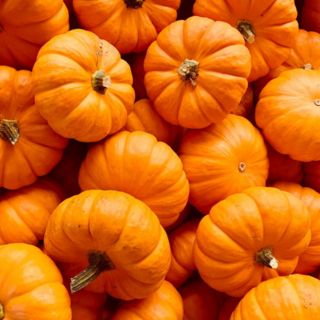 Beneficios de la calabaza, el fruto de Halloween