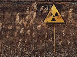 UNSPLASH/ OLEKSANDRA