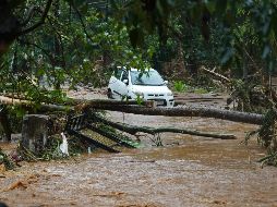 Entre mayo y agosto de 2018 las lluvias torrenciales, que provocaron las peores inundaciones en cerca de un siglo en Kerala, causaron al menos 370 muertes. AFP / A. S. Narayanan