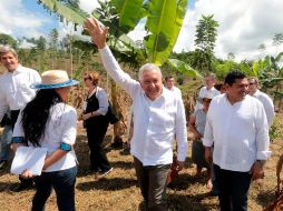 El Presidente Andrés Manuel López Obrador (c), y el enviado especial de los Estados Unidos para el Clima, John Kerry (i) durante una reunión de trabajo en Palenque. EFE/Presidencia