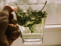 UNSPLASH/ ANTON DARIOS