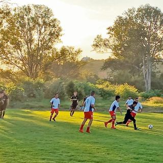 Llega el primer calificado en la Liga de los Animales