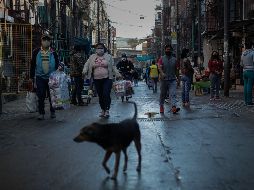 La vacunación ha avanzado a buen ritmo: según los últimos datos del Ministerio de Salud, un total de 2 millones 119 mil 029 porteños cuentan con las dos dosis de la vacuna, una cifra equivalente al 70% de la población capitalina. EFE / ARCHIVO