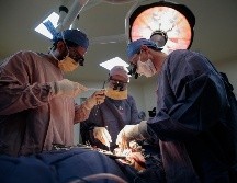 Se trata de un pequeño avance en la búsqueda de varias décadas por utilizar algún día órganos animales en trasplantes para salvar vidas. EL INFORMADOR / ARCHIVO