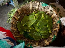 Visita el Tour del Nopal en Salamanca, Guanajuato. NOTIMEX.