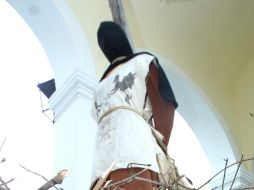 Lombrices, gallinas y hierbas son algunos de los animales que se usaron para hacer el caldo de guajolote. EL INFORMADOR/ARCHIVO