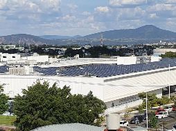 Jalisco es líder nacional en contratos de paneles solares