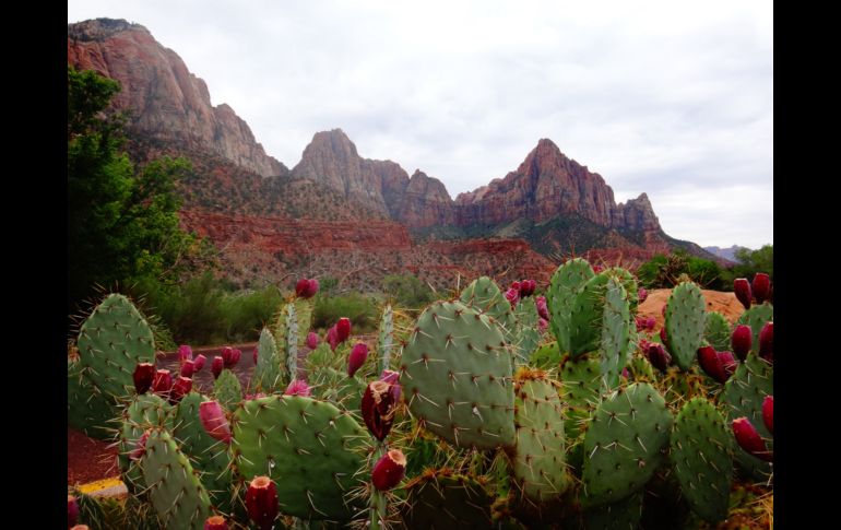 UNSPLASH/GEORGE PAGAN