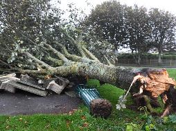 La primera tormenta de la temporada siguió su progresión este jueves hacia la frontera con Alemania, al este. AFP/F. Tanneau