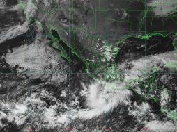 La tormenta tropical Rick podría intensificarse a huracán categoría 1 el domingo 31. ESPECIAL/Conagua