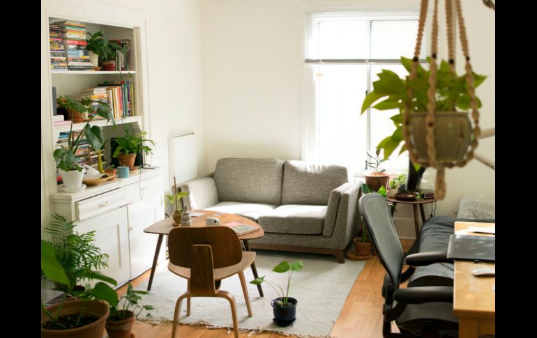 UNSPLASH/PATRICK PERKINS