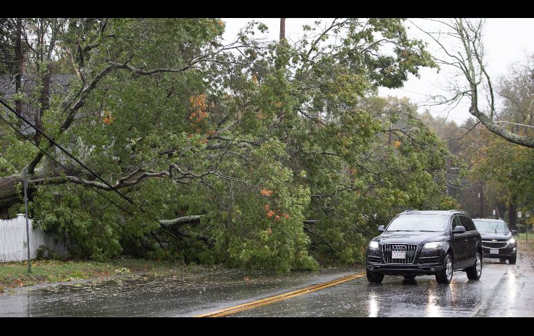 Trabajadores de servicios públicos trabajaban para restaurar la electricidad una vez que los vientos y la lluvia disminuyeron durante el día. EFE/C. Gunther