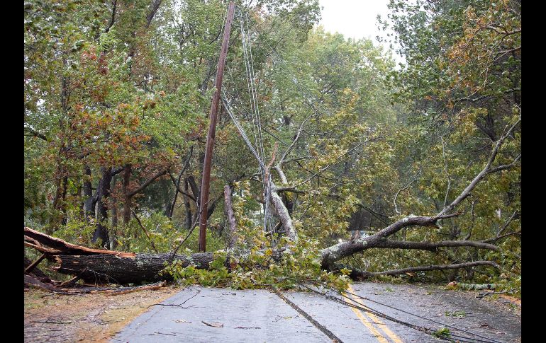 Trabajadores de servicios públicos trabajaban para restaurar la electricidad una vez que los vientos y la lluvia disminuyeron durante el día. EFE/C. Gunther