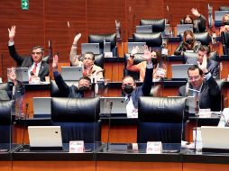 Los legisladores realizaron las valoraciones cualitativas de cada candidato. EFE/Senado de la República