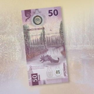 ¡Adiós a Morelos, hola ajolote! Banxico presenta nuevo billete de 50 pesos