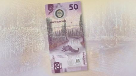 El nuevo billete de 50 pesos está hecho de polímero, el mismo material que contiene el actual que presenta el rostro de José María Morelos y Pavón. TWITTER / @Banxico