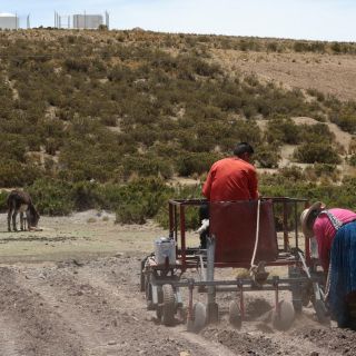 Joven crea robot sembrador de papas